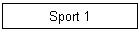 Sport 1
