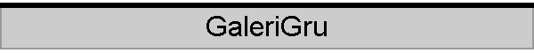 GaleriGru