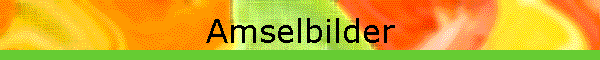Amselbilder